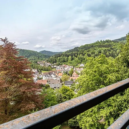 Appartement Adrion Bad Herrenalb