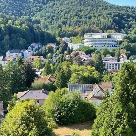 Apartamento Adrion Bad Herrenalb